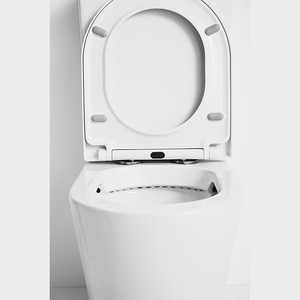 Diseño moderno, estándar europeo, porcelana, sin montura, trampa P, artículos sanitarios, baño, dos piezas, forma redonda, inodoro, WC - Product Image 6