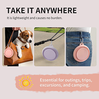 Vente en gros de bols pliables en silicone avec votre logo, portables avec mousqueton, pour le camping en plein air, l'alimentation des animaux de compagnie, OEM ODM