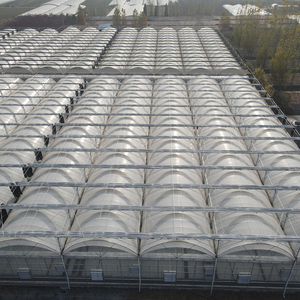 Invernadero Multi-Span con Sistema Inteligente de Control y Gestión Climática Automatizada - Product Image 4