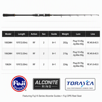 Canne à pêche surfcasting en gros, 2 brins, carbone, 3,05m 3,2m, guides Fuji Alconite, longue distance, pour la pêche en surfcasting et la pêche en mer/roche