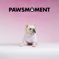 PAWSMOMENT Vêtements pour chiens Printemps Automne Nouveauté T-shirt en coton chaud pour Teddy et Corgi Motif Patte Planète Deux pattes