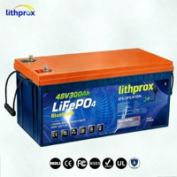 Batterie LiFePO4 Haute Capacité 48V 300AH 15KW Grade A 6000 Cycles pour Chariot de Golf avec BMS Intelligent Bluetooth, Terminal M8, CE RoHS IP67, OEM ODM