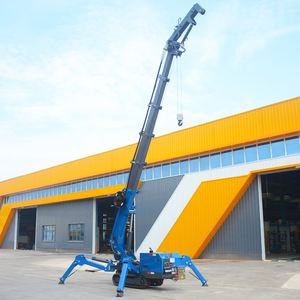 رافعة عنكبوتية صغيرة 1 طن رافعة صينية رافعة مجنزرة للبيع - Product Image 6