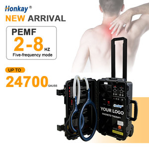 Dispositivo de Terapia Magnética PEMF de Alta Calidad para Uso Doméstico, Alivio del Dolor Muscular, Máquina PEMF de Doble Control para Humanos y Caballos - Product Image 1