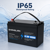 Batterie LiFePO4 12V 100Ah, pack de batteries 12,8V 1280Wh, 6000 cycles, batterie lithium à décharge profonde pour marine, camping-car, moteur de pêche à la traîne, solaire