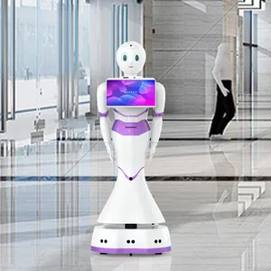 روبوت بشري ريمان مزدوج بالكامل تفاعل صوتي ذكي روبوت ذكي متعدد الوظائف