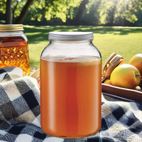 Kit de démarrage Kombucha pour la fermentation à domicile-Kit de brassage et de fermentation à domicile avec enveloppe chauffante et contrôle de la température