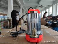 Pompe à eau électrique submersible solaire haute pression WEDO ZQB-12/24 12V/24V DC 0,25 CV avec 1 tuyau de refoulement pour l'approvisionnement en eau dans les pays en développement