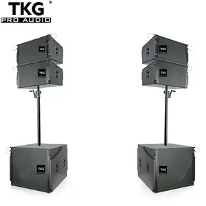 TKG PR10 450W single 10 inch line array speaker box design