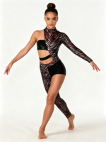 Justaucorps de gymnastique asymétrique à manches longues pour filles, imprimé zèbre métallisé, taille découpée, pour la compétition et la danse contemporaine jazz