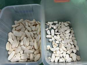 เครื่องคัดแยกสีแบบสายพานแสง WENYAO ขายดี สำหรับคัดแยกรูปร่างขนมปัง Mantou ขนมข้าวกรอบ - Product Image 5