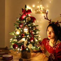 Grenzüberschreitender Neuer Stil Gemischter Blätter-Tisch-Weihnachtsbaum 60cm Deluxe PVC PE-Blätter Dichter Weihnachtsbaum-Set Heimdekorationen