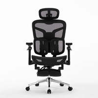 Chaise de bureau ergonomique lombaire dynamique en maille pour les projets de bureaux au Royaume-Uni et la distribution
