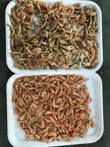 Máquina clasificadora óptica para habas, café fresco, almendras, nueces, chips de ajo, clasificador de forma de cámara de visión - Product Image 5