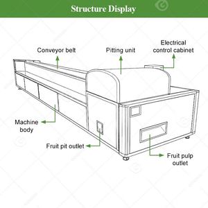 เครื่องแยกเมล็ดผลไม้ เช่น แอปเปิ้ล พุทรา อินเดียเดท และเชอร์รี่ มะกอก - Product Image 3