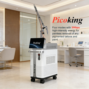 เครื่องลบรอยสักด้วยเลเซอร์ Pico 350ps พร้อมเทคโนโลยี Nd:YAG และปรับขนาดจุดได้ 2-10 มม. เพื่อการรักษาที่แม่นยำ - Product Image 4