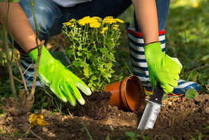 سكين حفر سكين حديقة Hori 12 "سكين البستنة النهائي أداة إزالة الأعشاب الضارة مع جيب وحجر طحن - Product Image 2