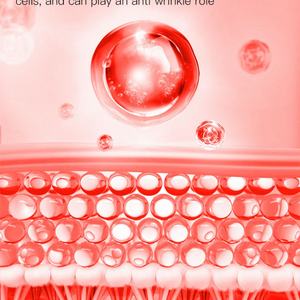 Sérum anti-âge aux hexapeptides, élimine les radicaux libres, multi-peptides pour la peau, soin de la peau pour l'acné, sérum cicatrisant - Product Image 6