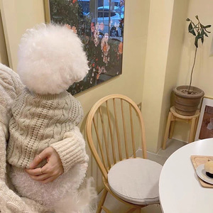 Nouveaux pulls minimalistes pour chiens et chats, vêtements chauds pour animaux de compagnie Bichon Frise, Teddy, Yorkshire Terrier, Pomeranian - Product Image 4