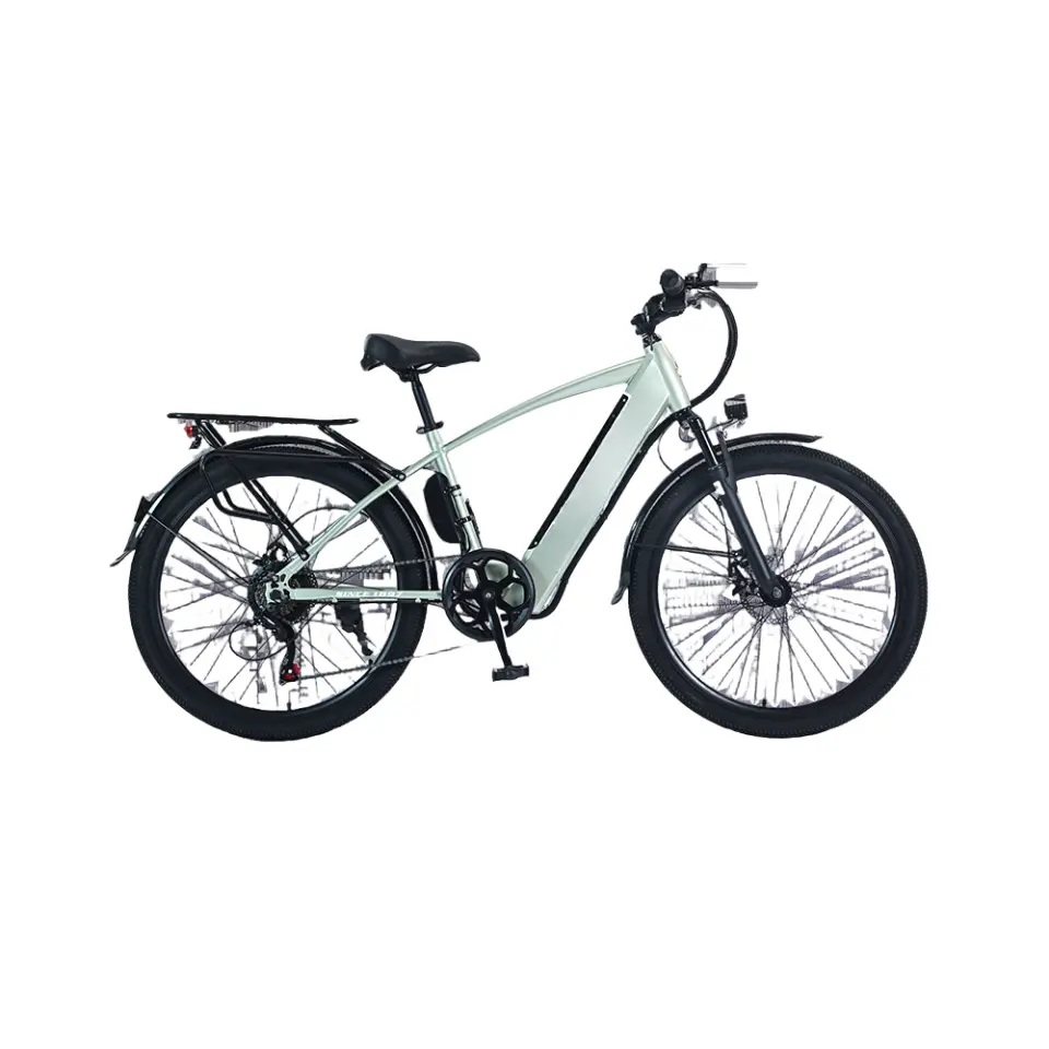 고탄소 21 속도 전기 산악 자전거 27.5 인치 29 인치 36v 250w 500w 지방 타이어 자전거