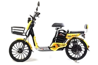 Usine chinoise 48V batterie puissante vélo électrique de ville vélo électrique scooters électriques