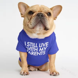 Camiseta con Estampado de Perrito para Perros Pequeños, Ropa para Mascotas de Primavera y Otoño, Camisetas para Schnauzer y Pug, Sudadera, Disfraz para Mascotas - Product Image 3