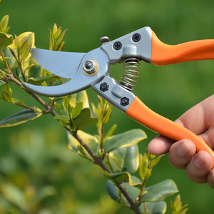 Outils de jardinage multifonctionnels, élagage manuel sans fil, échancrée de graines colorées à grand <span class=keywords><strong>prix</strong></span> - Product Image 3