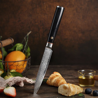 5 Inch 67-Laags Damascus Stalen Mes, Scherp Voor Schillen/Snijden, Keuken Fruit/Groente Prep Tool