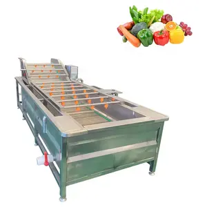 Industrial Conveyor Belt Papaya Clean Bubble Washer Leaf Vegetable and Fruit Wash Machine