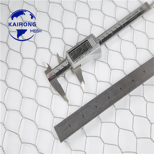Malla de Alambre Hexagonal Galvanizada con Zinc de Alta Resistencia a la Corrosión para Jaulas de Pesca, Recién Llegada - Product Image 3