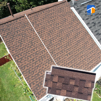 Amerikanische Moderne Dachschindeln Standard Maßgefertigt Schwarze Farbe Korrosionsbeständig Wasserdicht Asphalt Architektonisch 3-Tab 20-30 Jahre Haltbarkeit