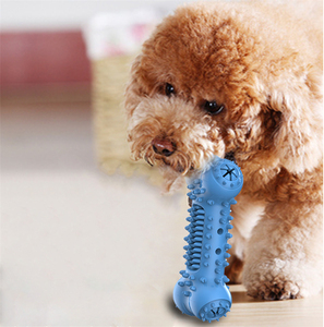 <span class=keywords><strong>Jouet</strong></span> à mâcher pour <span class=keywords><strong>chien</strong></span> pour le nettoyage des molaires, vente chaude, brosse à dents pour animaux de compagnie, bâton d'entraînement, résistant aux morsures, en TPR, <span class=keywords><strong>jouet</strong></span> en caoutchouc pour <span class=keywords><strong>chien</strong></span> - Product Image 1