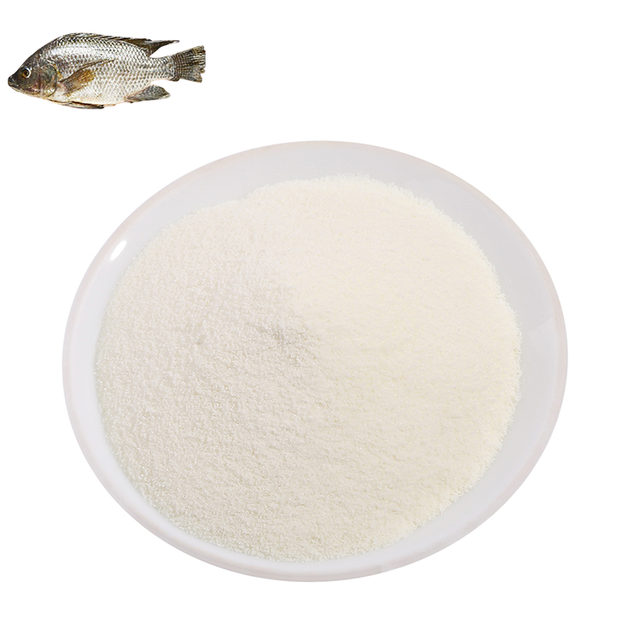 Custom Private Label Sports Nutrition Supplement Hydrolyzed Collagen Peptide Fish Protein Powder Food Grade