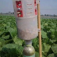 Piège liquide efficace pour les vers de tabac (Spodoptera litura) – Solution agricole écologique pour serres et extérieurs