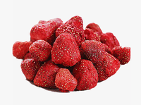 SINOBIZ Voedsel Fruit en Groente Vacuümvriesdroger Droogapparatuur 220V CE-gecertificeerd Lange Levensduur Nieuwe Pomp