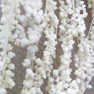 Altri Fiori e Piante Decorative di Alta Qualità, Fiori Secchi Colorati, Piante Pendenti Naturali, Fiori Veri Preservati di Amaranto - Product Image 6