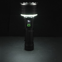 Lampes de poche EDC super lumineuses Bright Bird, 10 modes d'éclairage, lampe torche LED magnétique rechargeable, lampes de poche tactiques