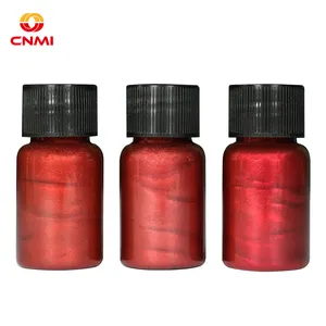 最新批发高品质低成本变色龙云母粉用于丙烯酸指甲有机颜料54种颜色