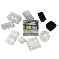 Petits plateaux en plastique jetables de haute qualité PET Blister processus conteneurs alimentaires polyvalents pour Cookie Biscuit chocolat sucre