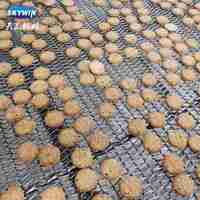 Chaîne de production de biscuits et de produits moelleux à succès : Machine à fabriquer des biscuits, mouleuse rotative avec four de boulangerie