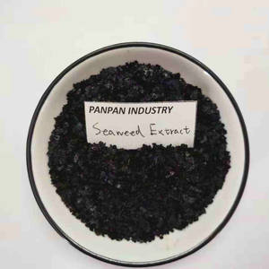 محلول مغذيات زراعية مائية مستخلص من الأعشاب البحرية - Product Image 4