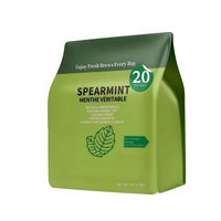 OEM ODM Thé aux herbes à la menthe verte GMP ISO22000 20 sachets de 40g refermables Naturellement sans caféine