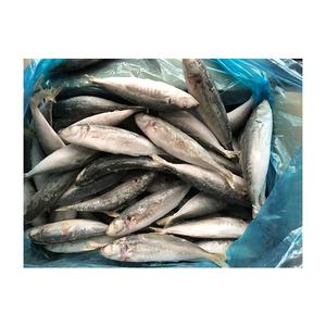 موسم جديد صيد البحر المجمدة جولة غرد كامل IQF المأكولات البحرية 10 مع ضوء صيد الأسماك غرد - Product Image 2