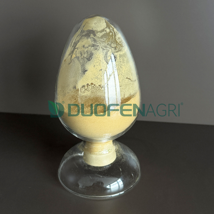 China Seaweed Extract Fertilizer Powder Manufacturer OEM image 5