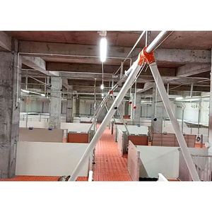Progetto Chiavi in Mano per Allevamento Suini, Attrezzatura Automatica per l'Allevamento di Suini, Anti-Corrosione, per Sud-est Asiatico e Sud America - Product Image 4