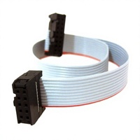 Câble d'alimentation Eurorack, câble ruban IDC isolé en PVC, 10 broches, câbles modulaires pour synthétiseur - 25 cm