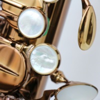 Saxophone alto professionnel Focustyle, corps en laiton, plaqué or café, tonalité EB, modèle FAS-500MKVI