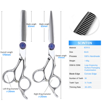 Ensemble de ciseaux de coiffure en acier 9Cr, 6,0 pouces, finition argentée, poignée ergonomique pour droitiers, 58,5 HRC, kit de ciseaux de coupe et d'éclaircissement