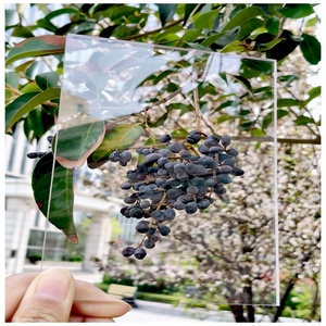 Plaque de polycarbonate solide transparente <span class=keywords><strong>anti</strong></span>-UV de 1,2 mm à 15 mm, directement de l'usine, pour auvent de voiture, toit de carport - Product Image 2