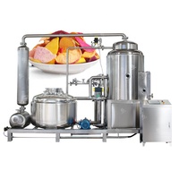 Automatische Groente-en Krokante Chips Friteuse Ananas Chips Vacuüm Frituren Machine